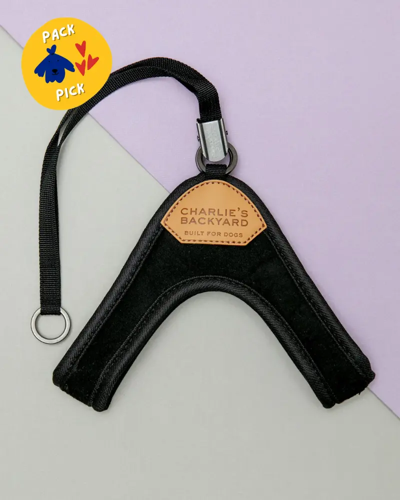 Adjustable Easy Dog Harness In Black 1