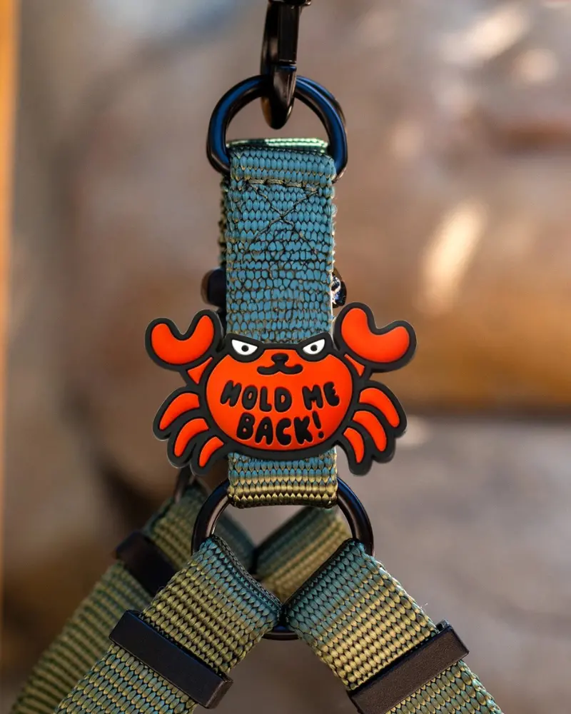 Jiby Silicone Slide On Crabby Charm (Final Sale) 1