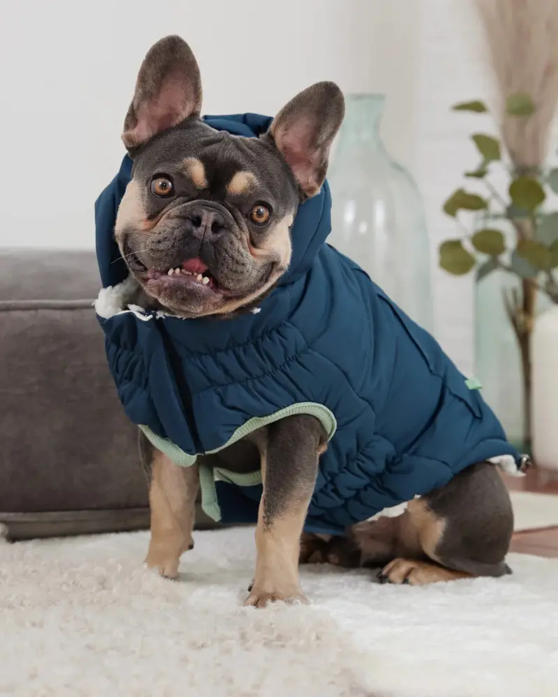 Arctic Dog Parka In Wintergreen (Final Sale) 1