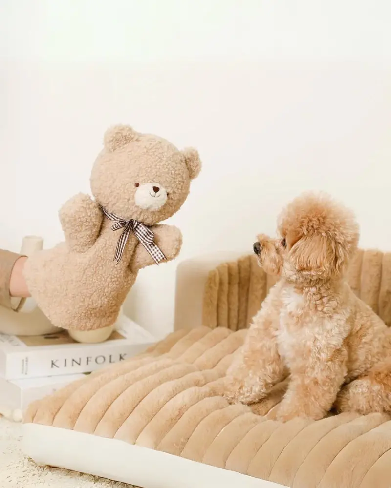 Bear Hand Puppet Dog Toy 1