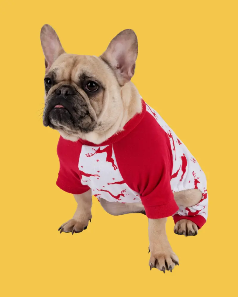 Prancing Reindeers Howliday Pet Pajamas (Final Sale) 3