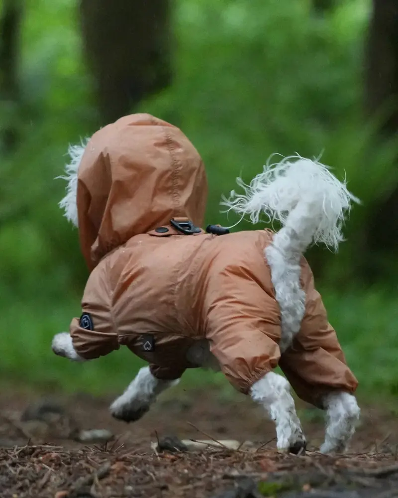 Waterproof Air Coverall For Dogs 1