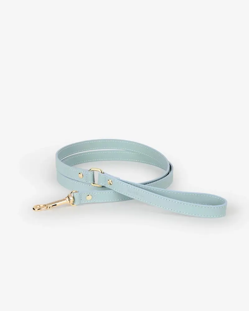 Sky Blue Nara Leather Dog Leash With Brass Hardware (Made In Italy) 2