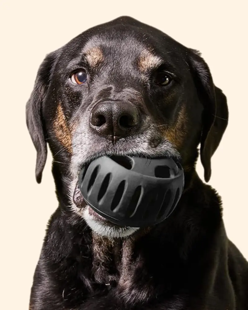 The Power Chewer Pupsicle Enrichment Dog Toy 1