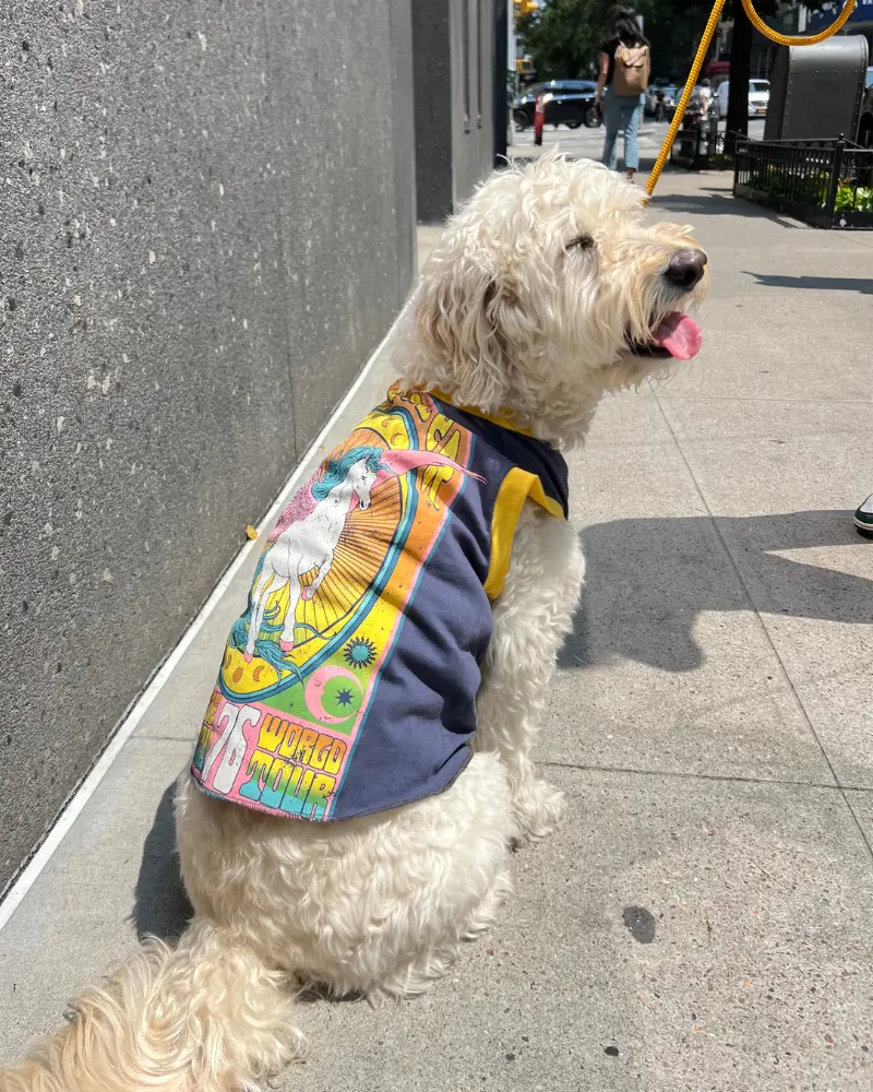 Recycled Vintage Dog Tee (Made In The Usa) (Clearance) 1