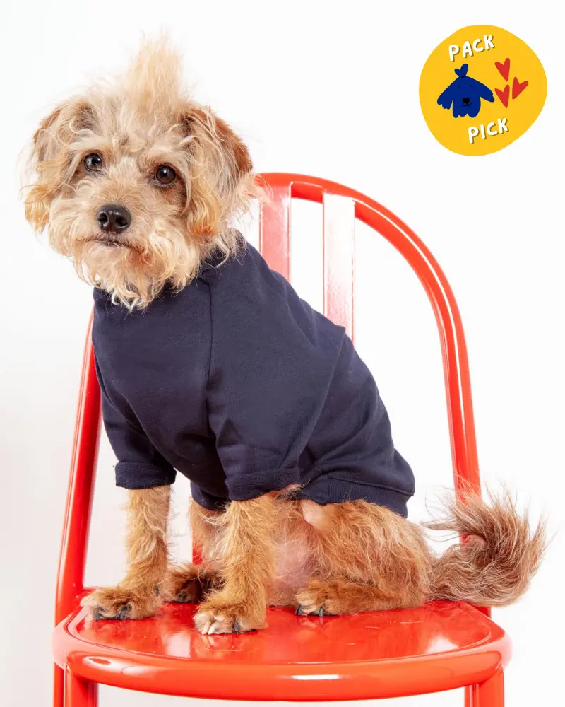 Cut-Sleeve Crewneck Pullover In New Navy (Made In Nyc!) (Final Sale) 1