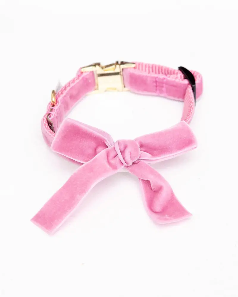 Velvet Dog Bow Collar Set In Petal Pink (Made In The Usa) 1