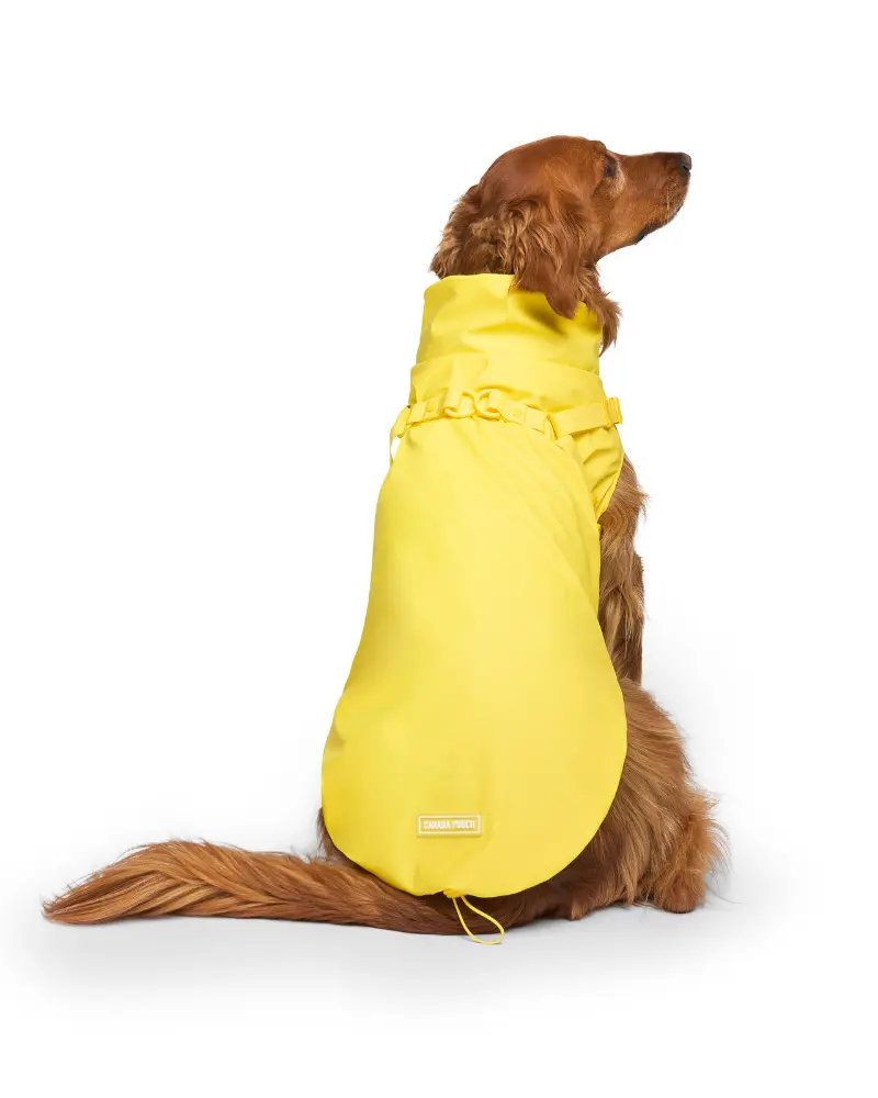 2-In-1 Dog Harness Raincoat In Yellow 1