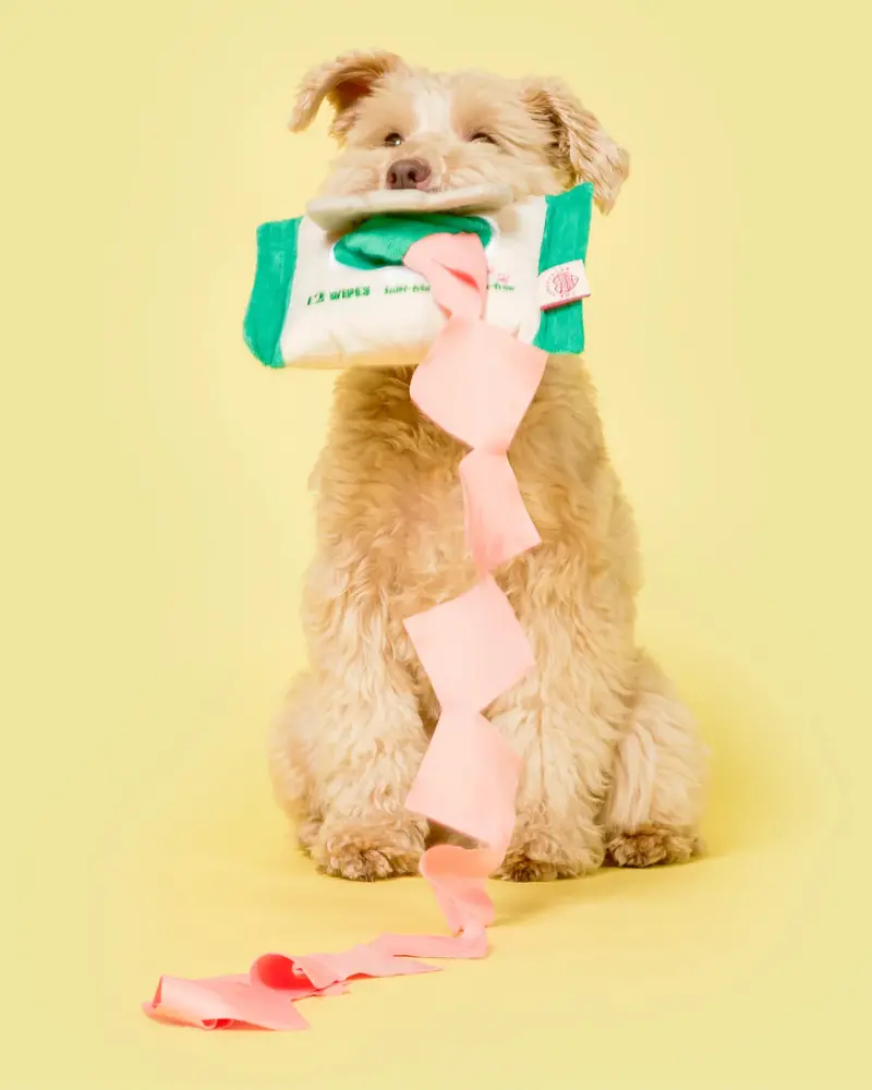 Doggo Wipes Nosework Dog Toy 1