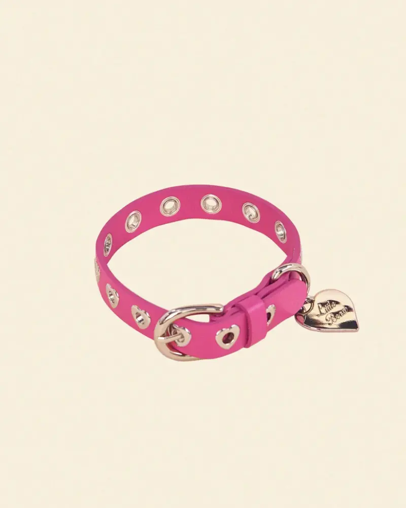 You Mean The World To Me Dog Collar In Peony 1
