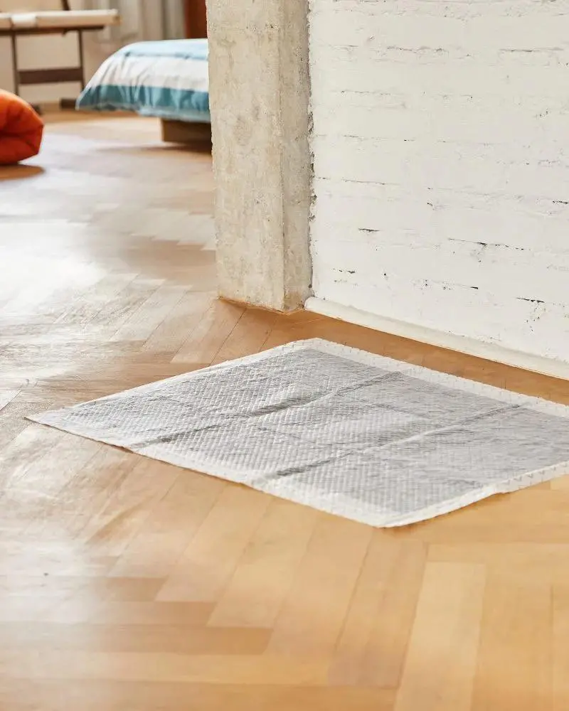 Zee Pad Pee Pad For Dogs 1