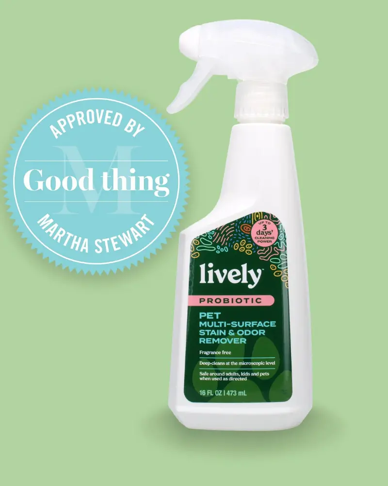Lively Pet Probiotic Multi-Surface Stain & Odor Remover 1