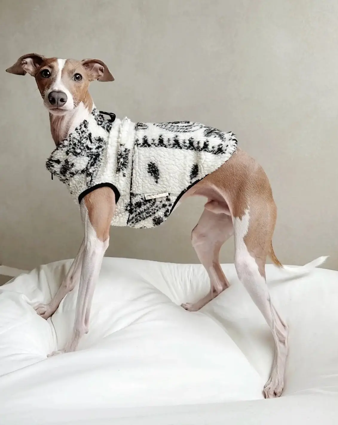 Paisley Camper Sherpa Dog Fleece (Final Sale) 2