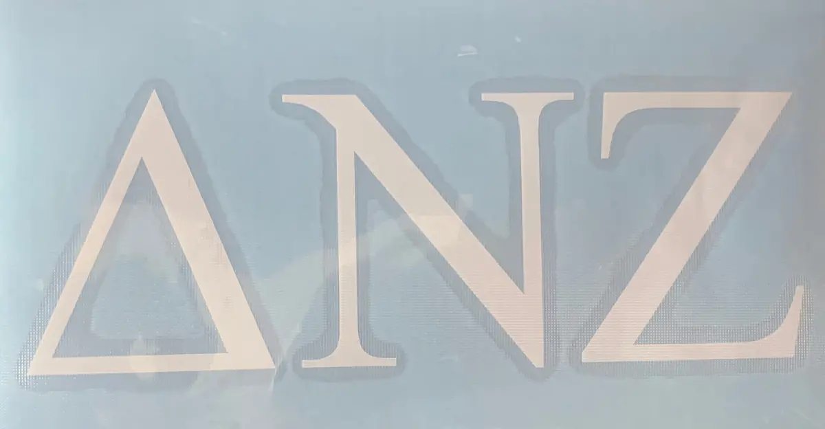 Delta Nu Zeta Vinyl Decal 1