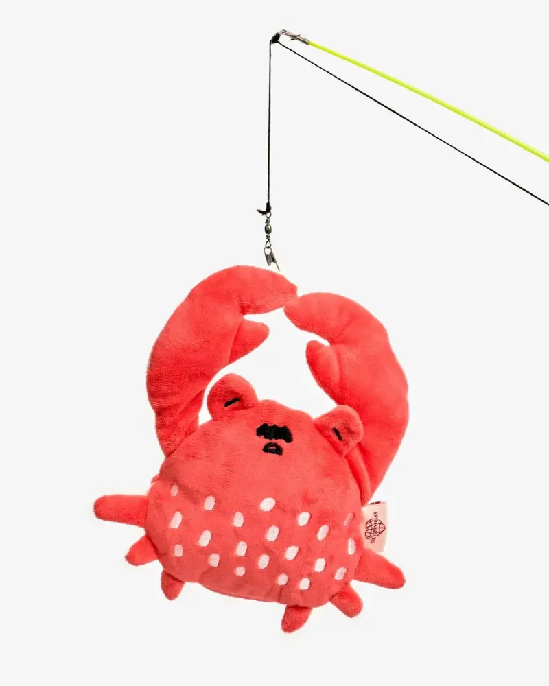 Crab Nosework Toy For Dogs 1
