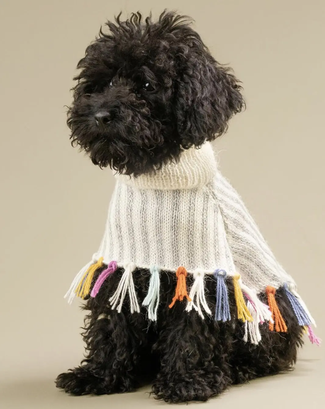 Rainbow Knit Alpaca Dog Poncho << Final Sale >> 1