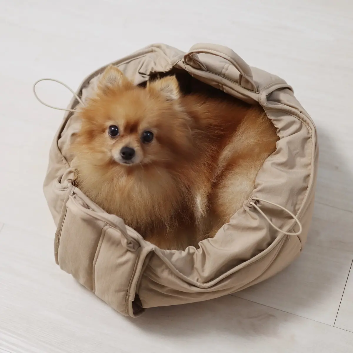 Olla Petite Pet Crossbody Bag 1