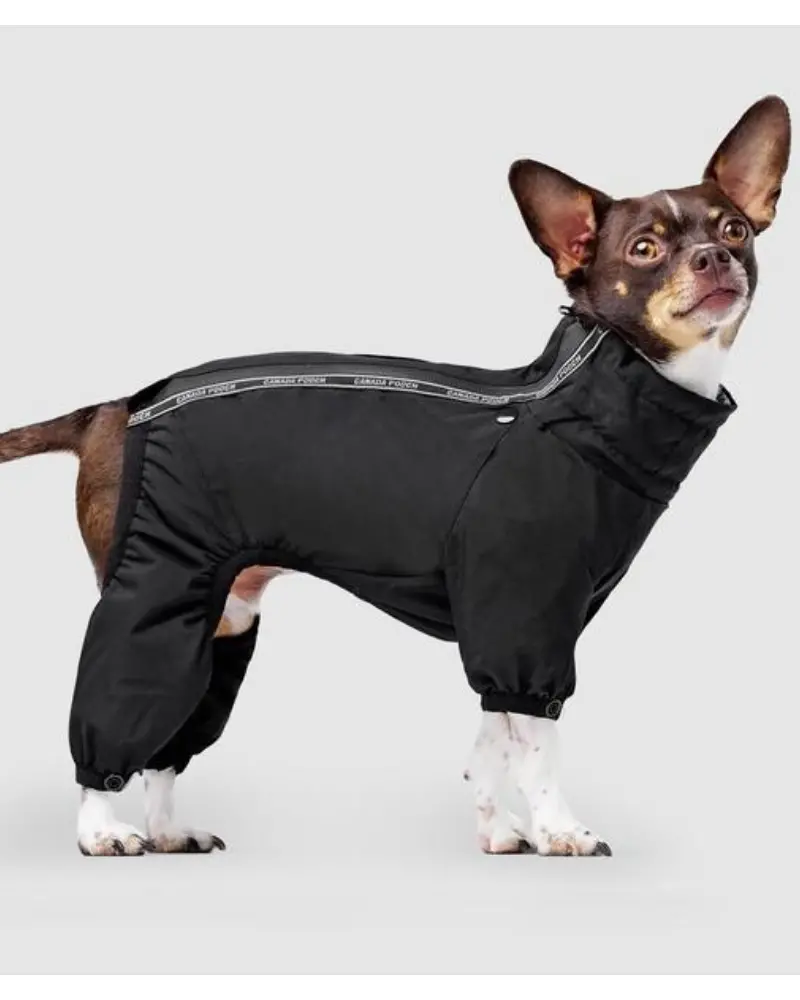 Winter Dog Snowsuit In Black (Final Sale) 1