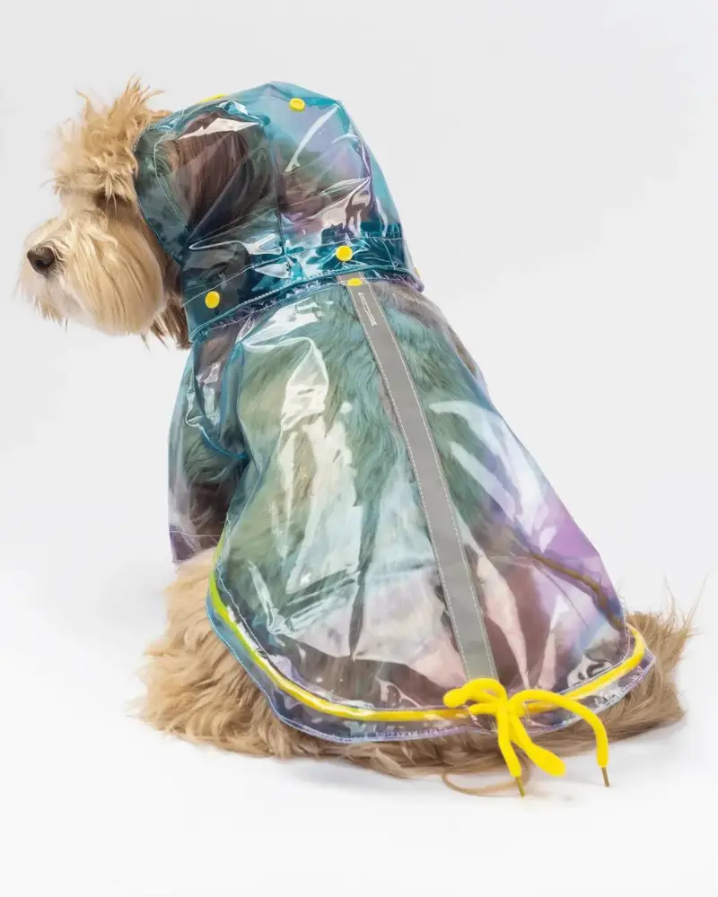 Kinney Translucent Dog Raincoat (Final Sale) 1