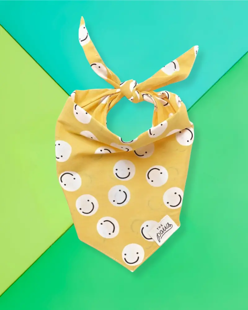 Smiley Friends Dog Bandana (Final Sale) 1
