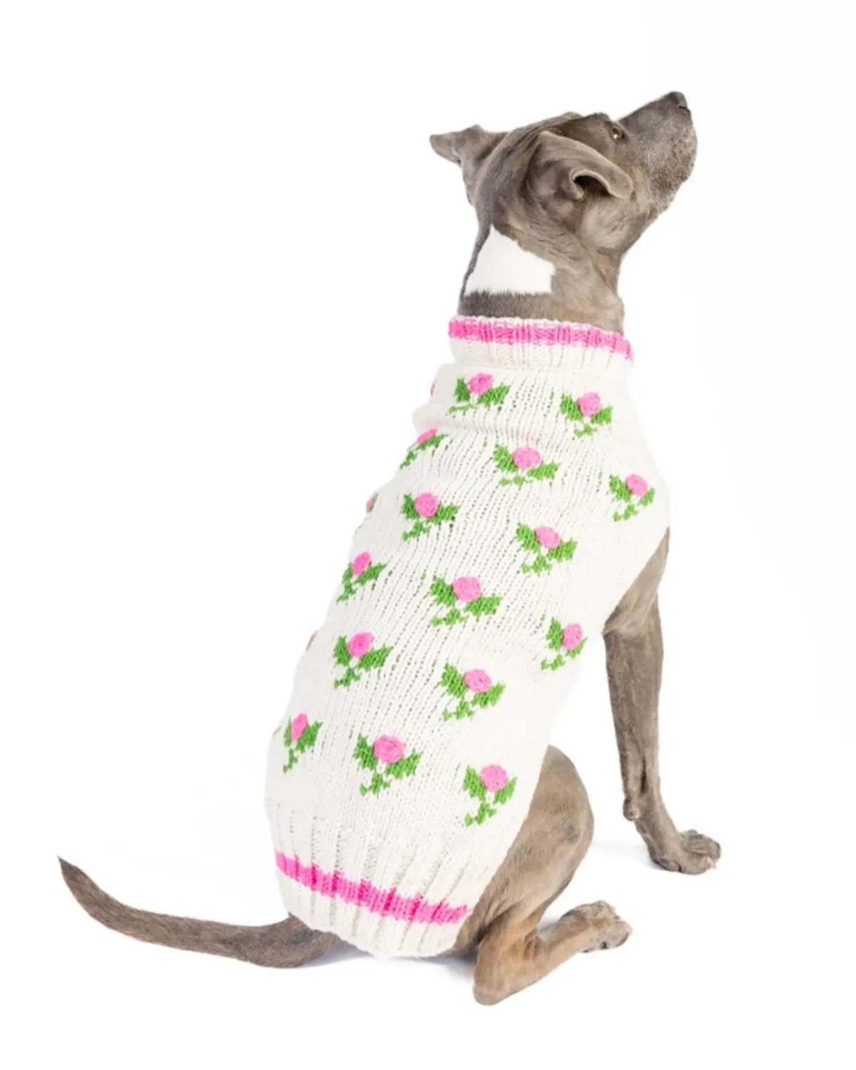 Rose Bud Wool Knit Dog Sweater (Final Sale) 1