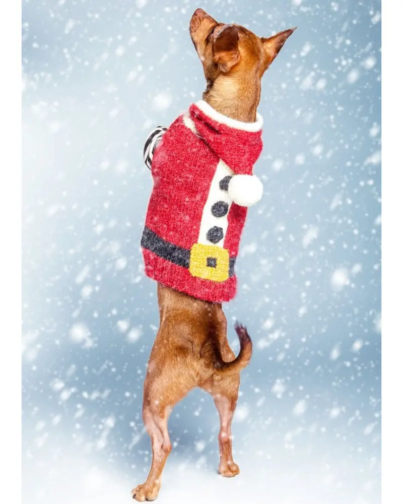 Santa Paws Hand Knit Dog Sweater (Final Sale) 1