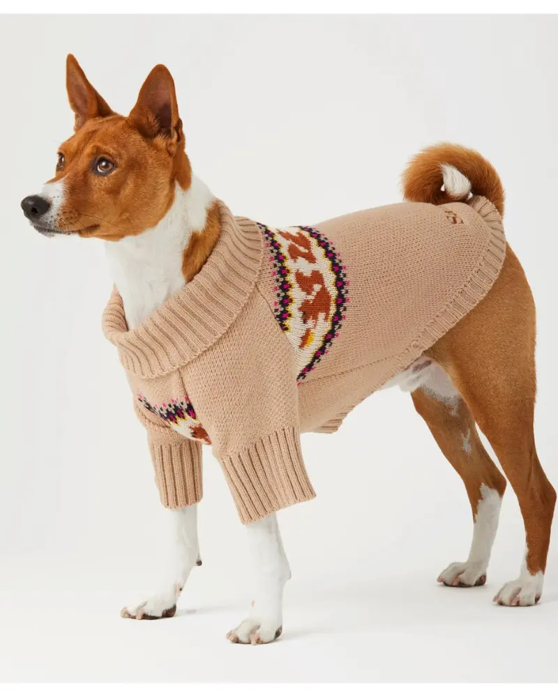 Squirrel Knit Dog Sweater (Final Sale) 1
