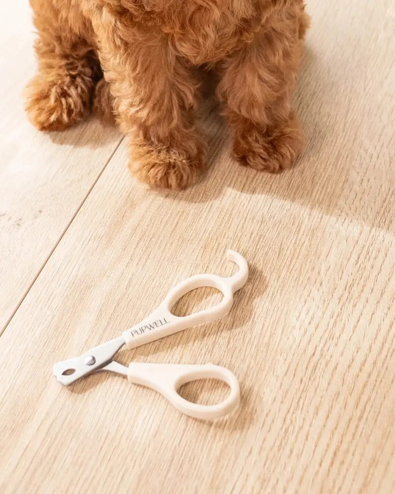 Mini Dog Nail Clippers 1