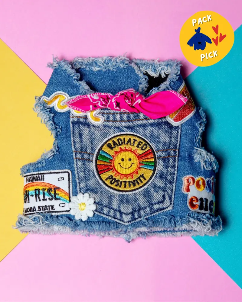 Sunshine Positivity Denim Dog Harness (Made In The Usa) 1