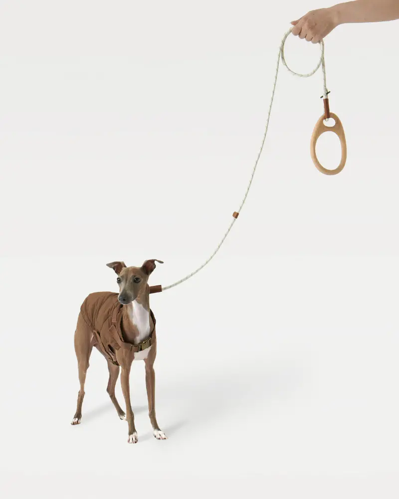 Ash Wood Handle Dog Leash 1