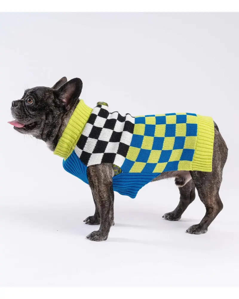 Checkerboard Dog Sweater In Lime & Cobalt (Final Sale) 1