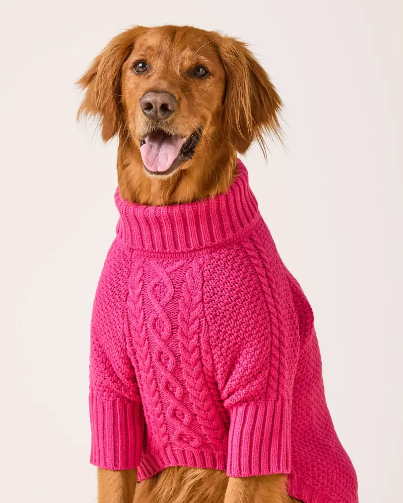 Hot Pink Cable Knit Dog Sweater 1