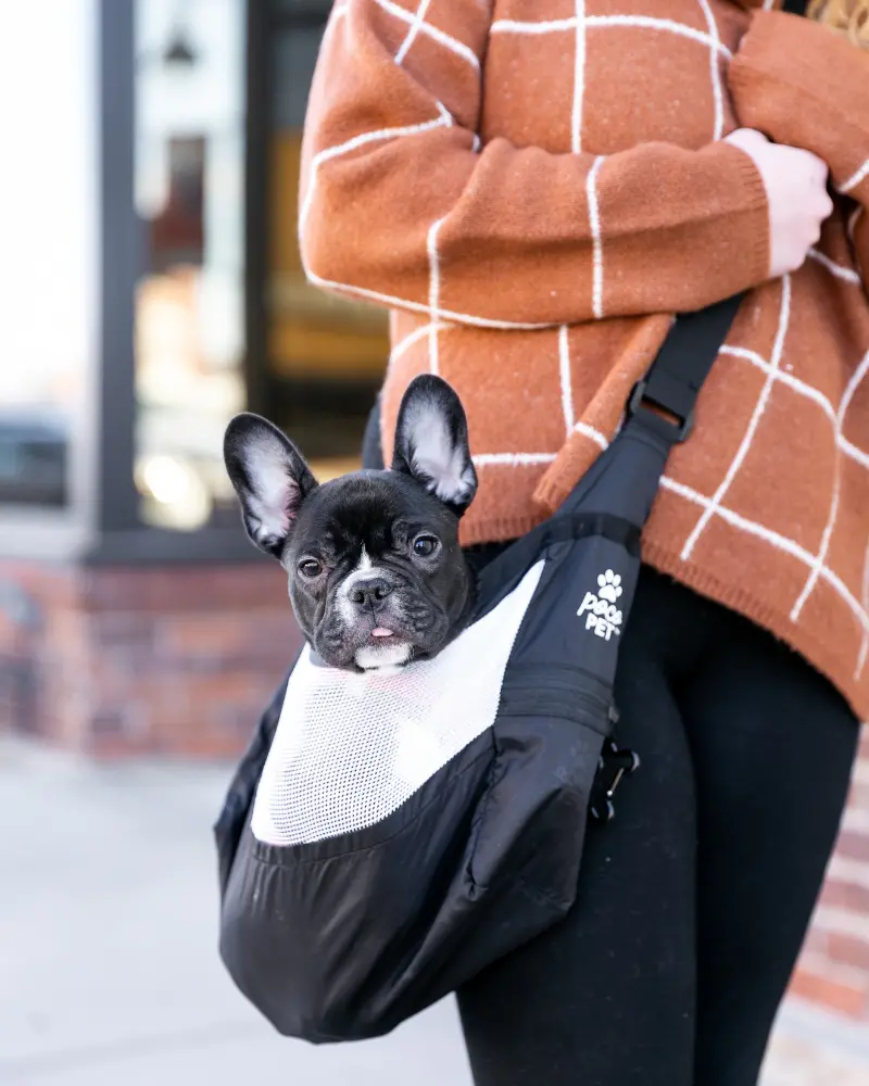 Ultralight Packable Pet Carrier In Black 1