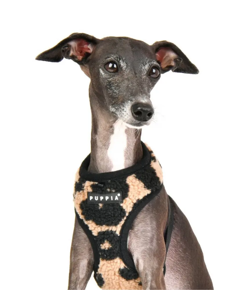 Leopard Fleece Over-The-Head Dog Harness<Br>(Final Sale) 1