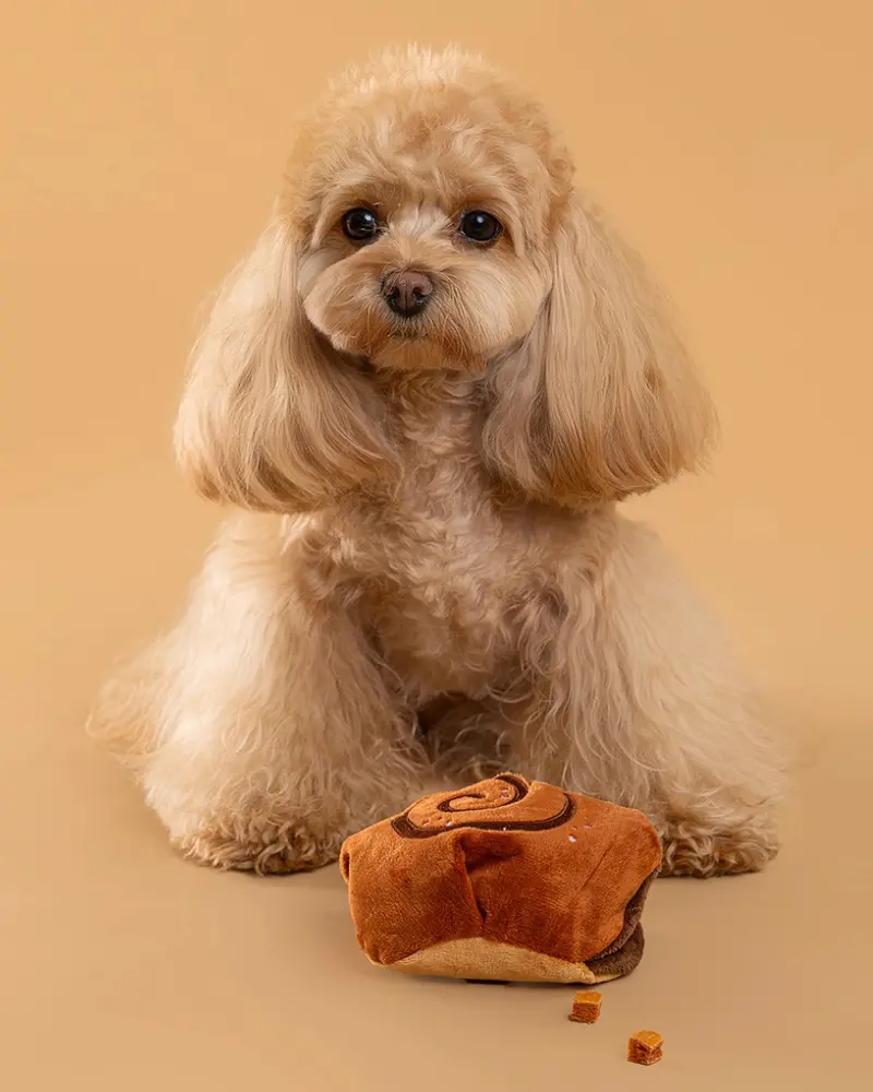 Cinnamon Roll Squeaky Snuffle Dog Toy 1