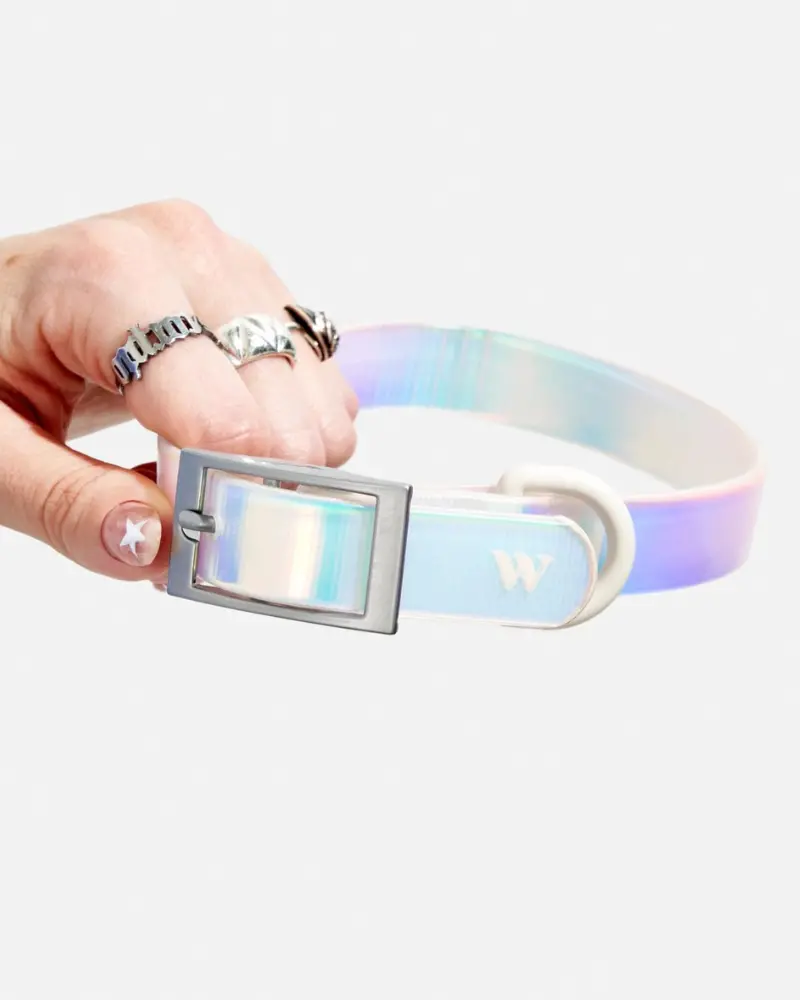 Holographic Lunar Dog Collar (Final Sale) 1