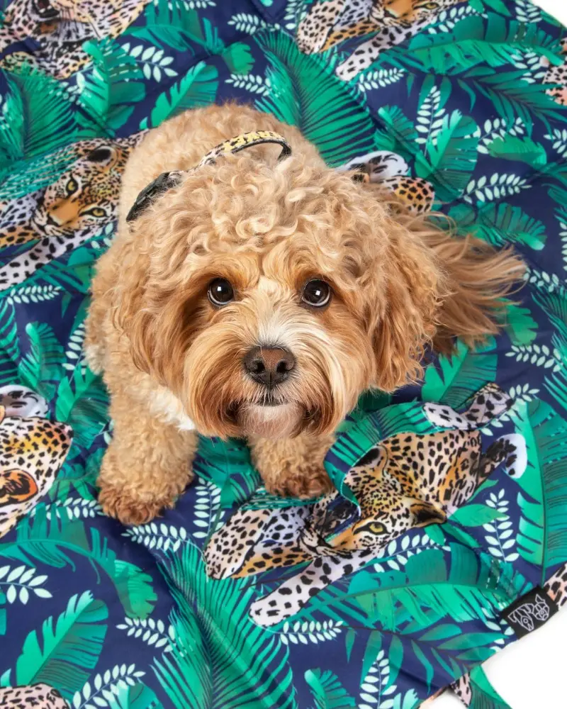 On-The-Go Pet Mat In Tropical Luxe Leopard << Final Sale >> 1