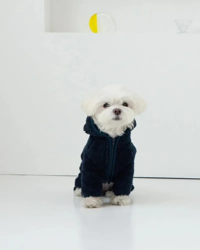 Boa Fleece Onesie In Navy (Dog & Co. Exclusive) 1