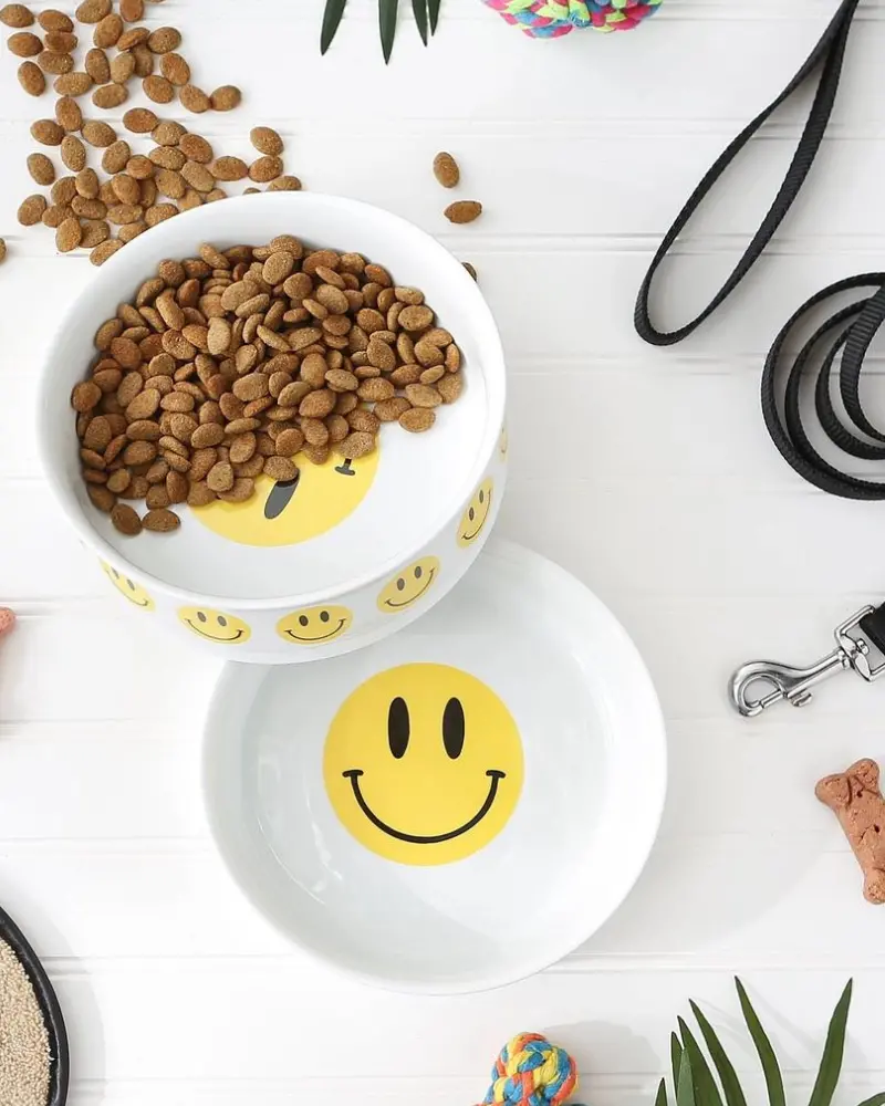 Let's Get Happy Smiley Face Pet Bowls 2