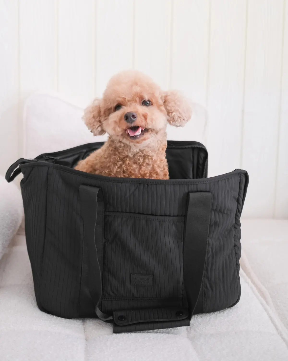 City Carrier Zip-In Dog Bag In Black 1