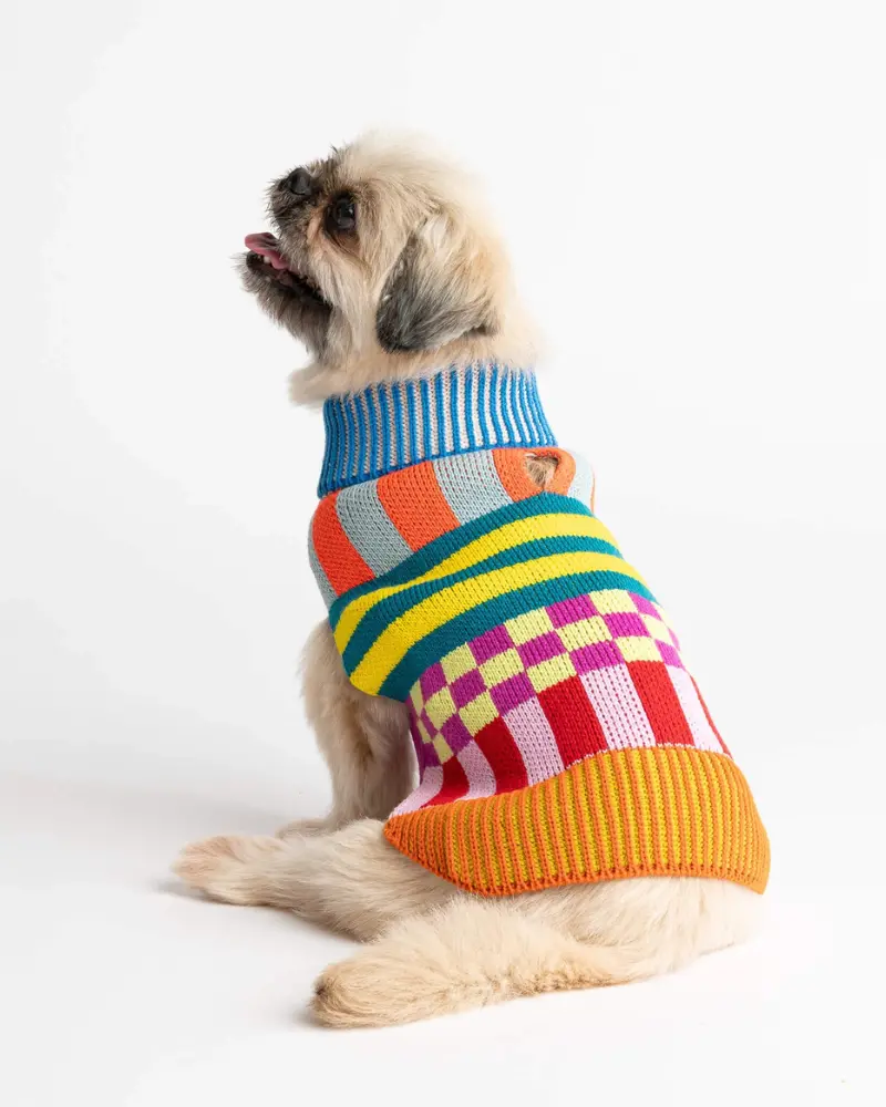 Pattern Patch Dog Sweater In Rainbow 1