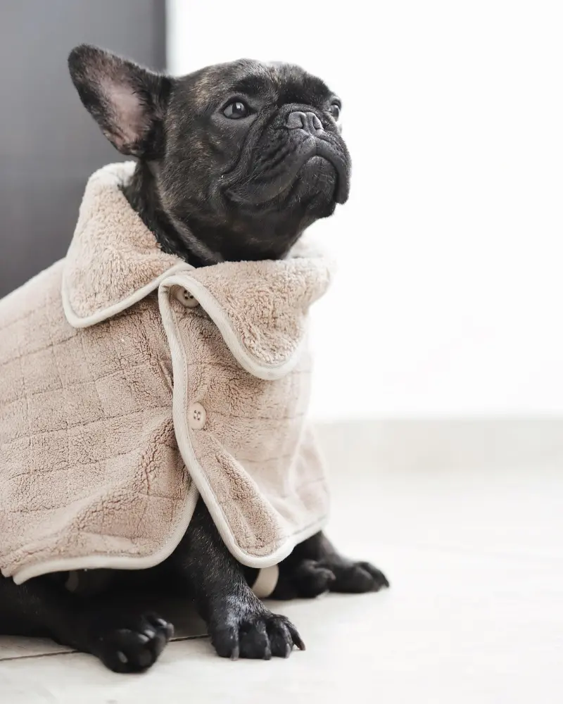 Baby Fleece Microfiber Dog Bathrobe 1