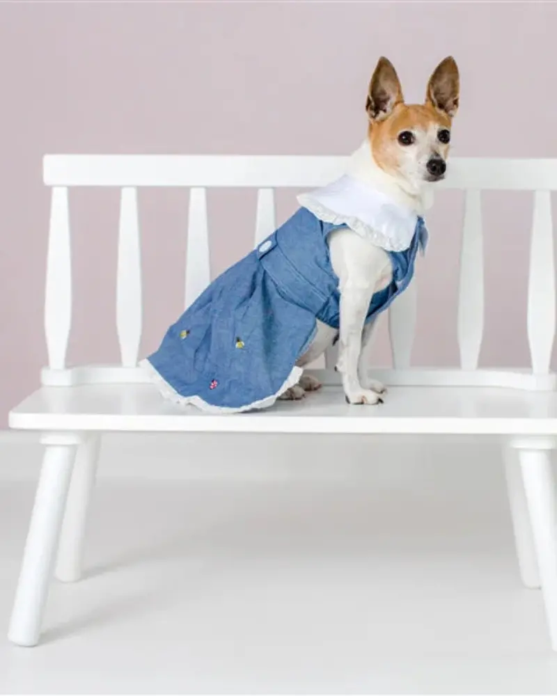 The Bugs + The Bees Chambray Dog Dress (Final Sale) 4