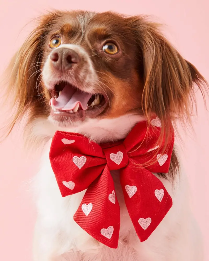Embroidered Hearts Dog Lady Bow (Made In The Usa) 1