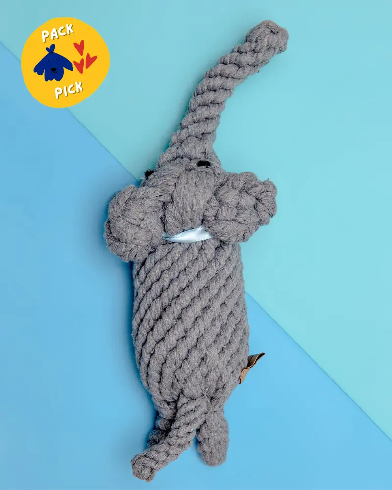 Coco The Elephant Rope Dog Toy 1