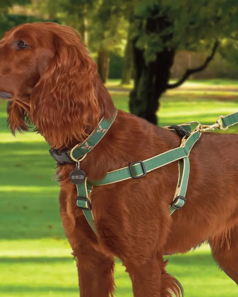 Color Market Bamboo Dog Harness In Forest & Tan (Made In The Usa) 1