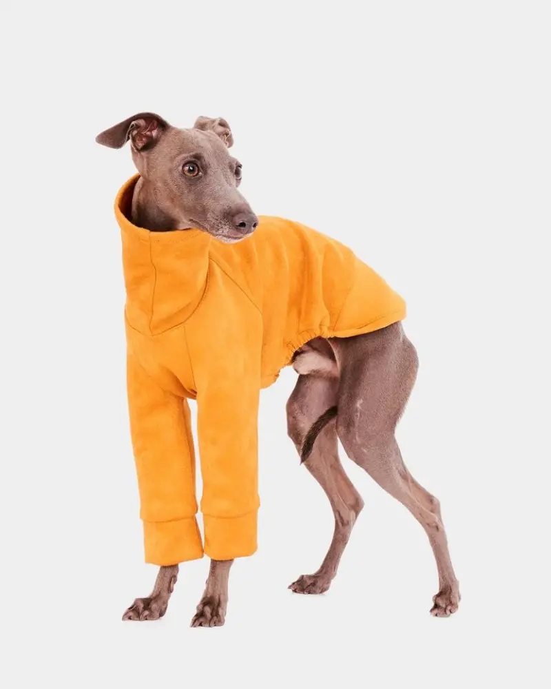 Long Sleeve Dog Turtleneck In Yellow (Final Sale) 1