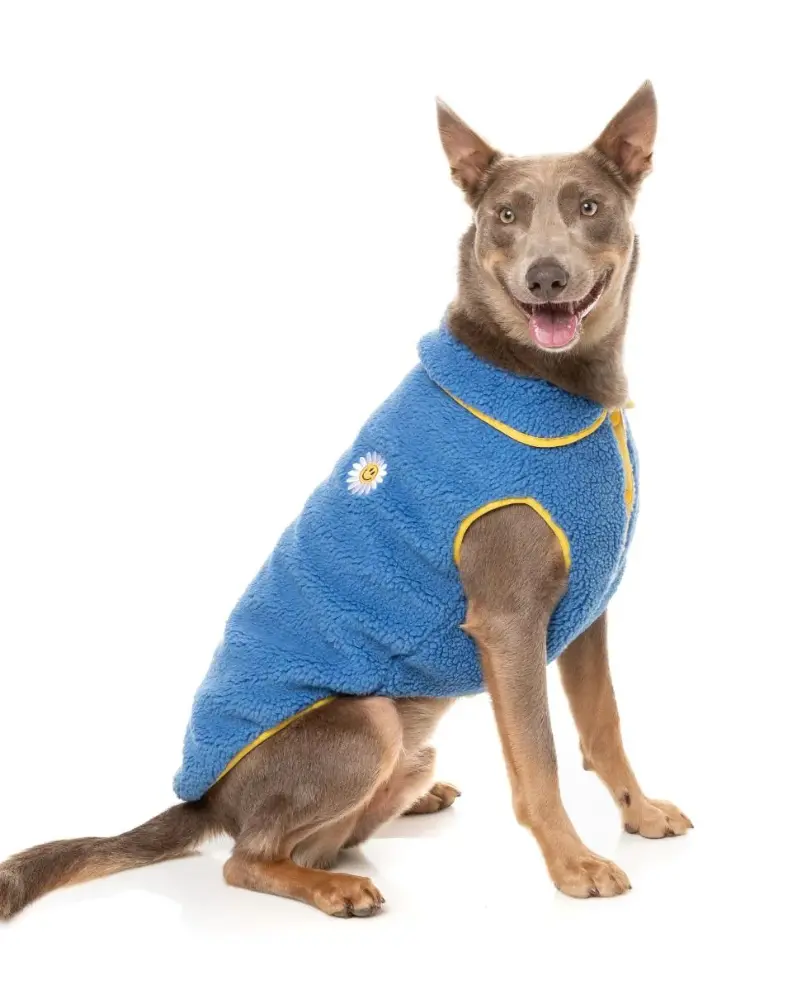 Hana Dog Jacket In Blue (Final Sale) 1