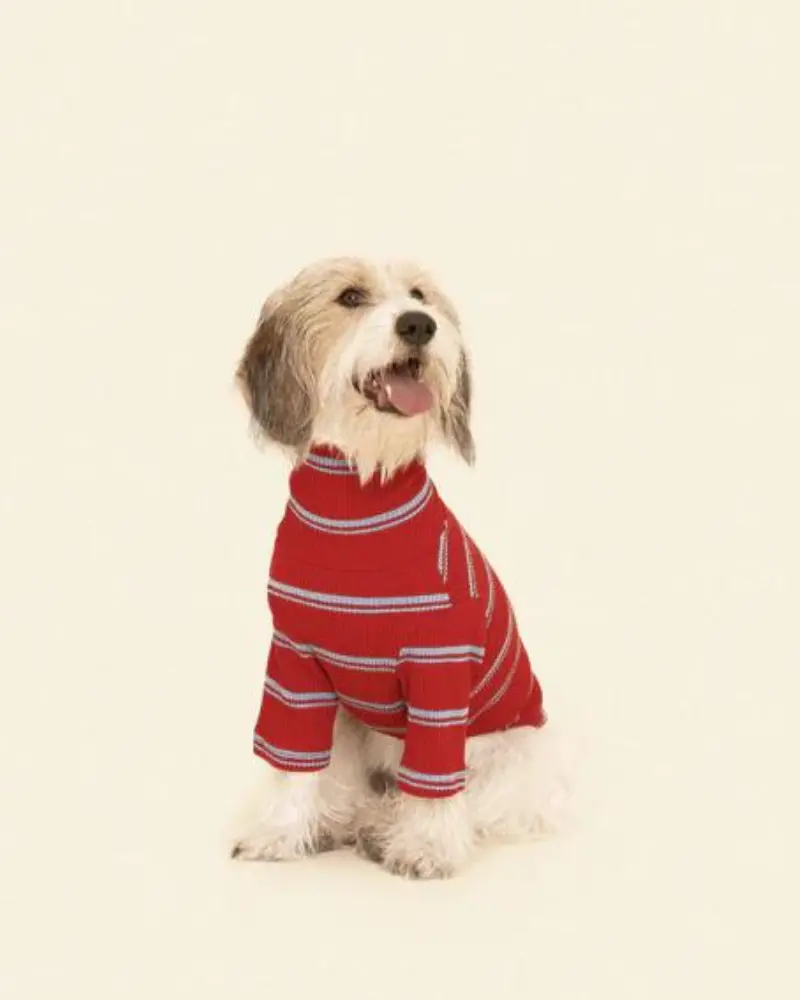Star Shooter Pullover Dog Shirt 1