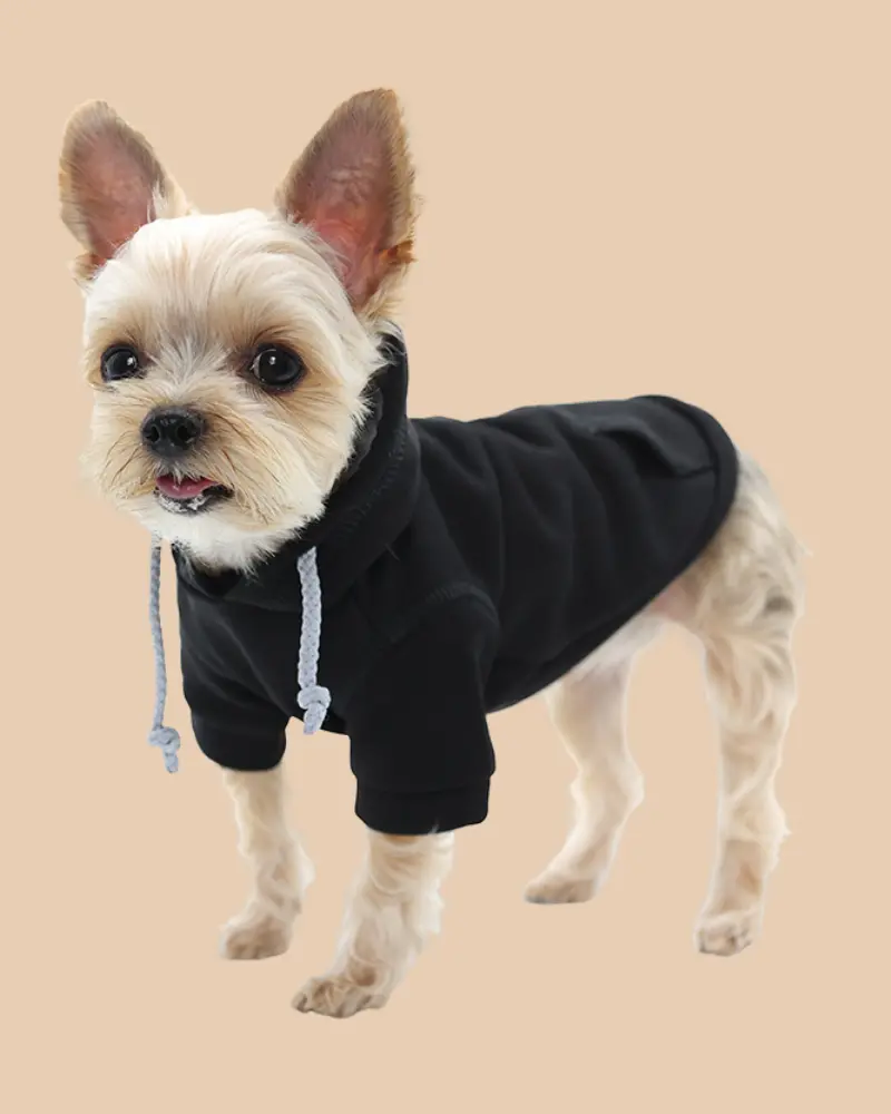 Drawstring Dog Hoodie In Black<Br>((Final Sale)) 1